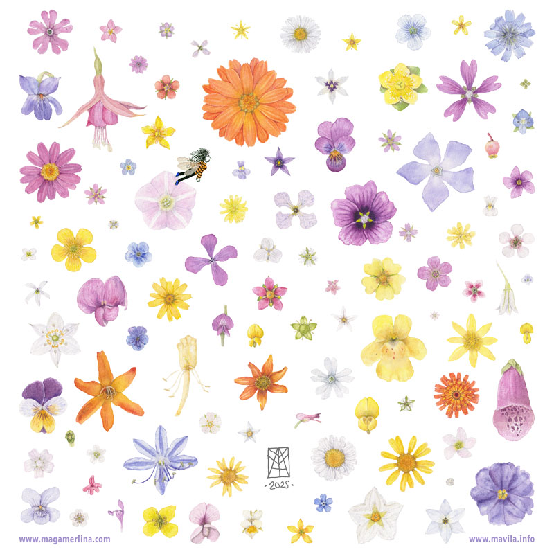 100-flores-MAGAMERLINA